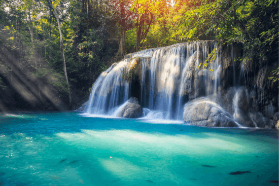 How Your Beauty Ingredients Affect the Environment