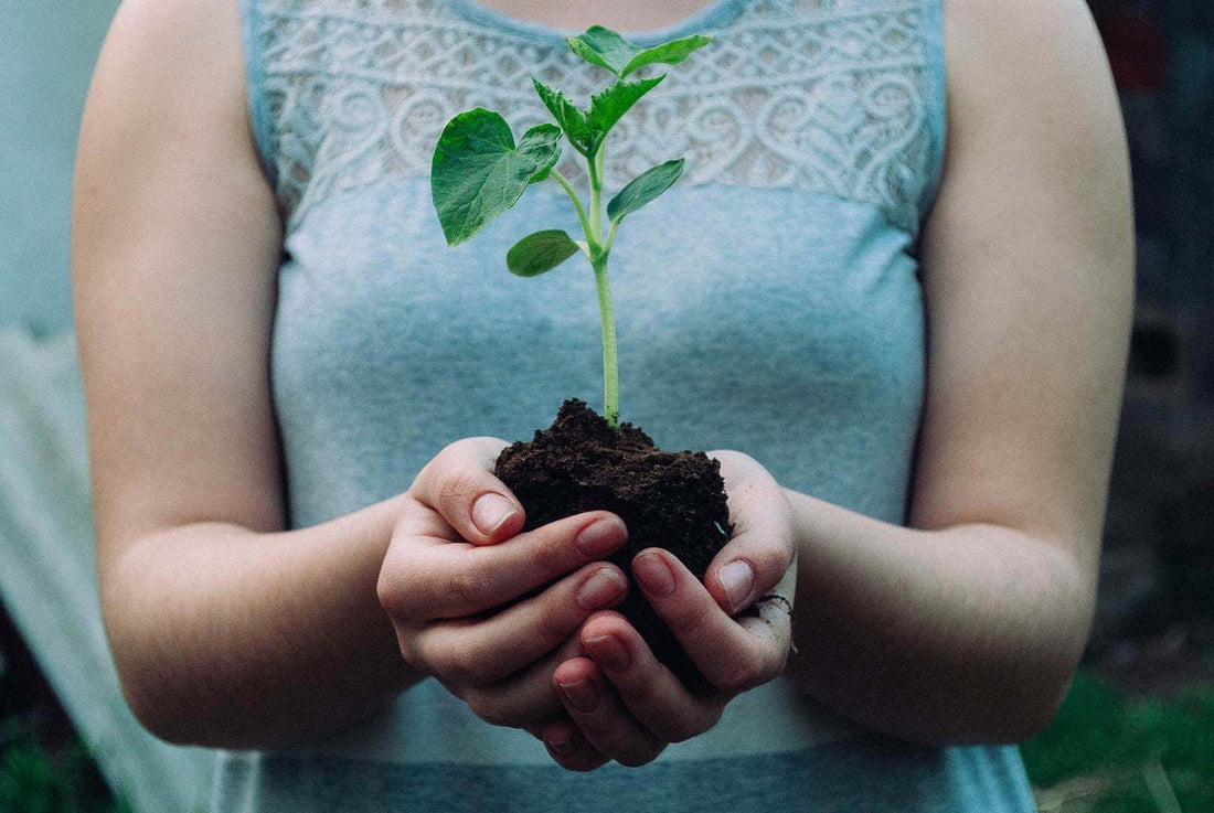 Innersense Organic Beauty Earth Conscious Chemistry