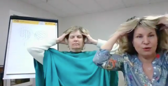 Holistic Haircut