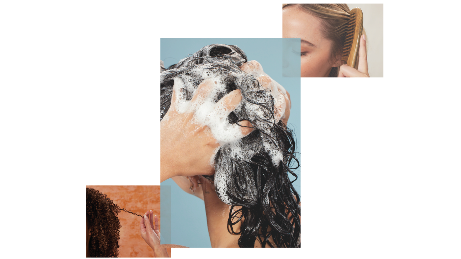 Image Alt Text