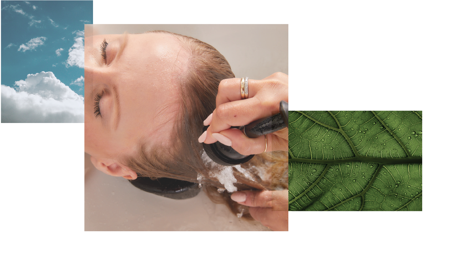 Image Alt Text