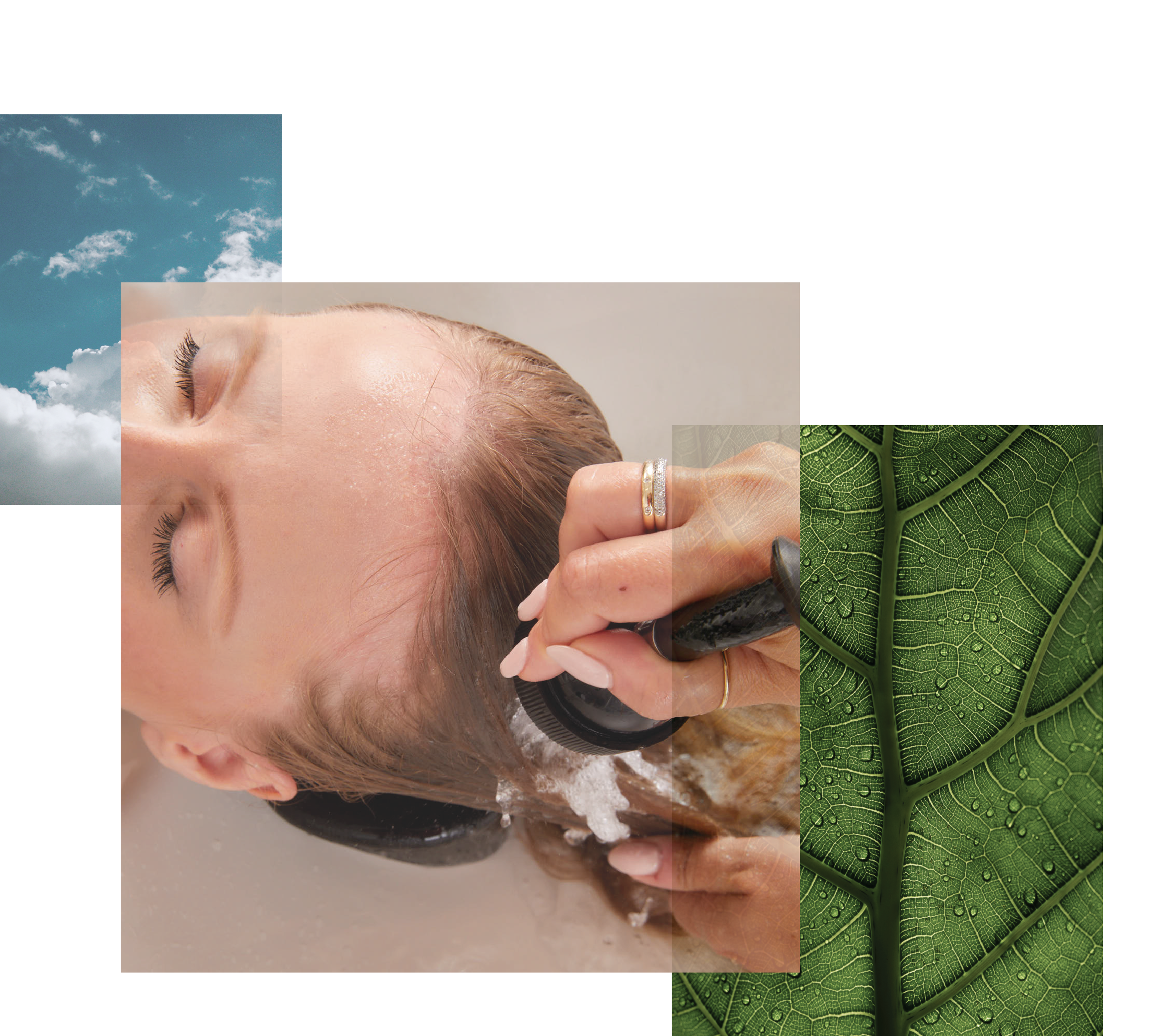 Image Alt Text