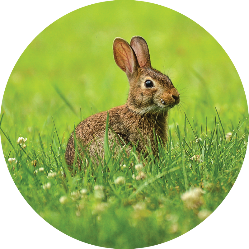 Ethical Sourcing
